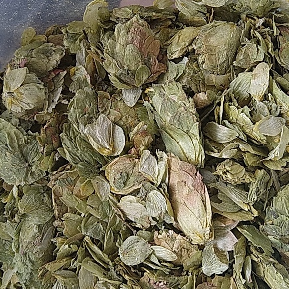 Hops (whole) humulus lupulus - Picture 2 of 2